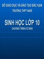 Bài 28: Thực hành: Quan sát hình ảnh một số vi sinh vật
