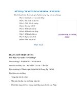 KẾ HOẠCH KINH DOANH HOA LEVENER