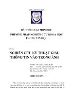 Tiểu luận môn phương pháp nghiên cứu khoa học trong tin học NGHIÊN CỨU KỸ THUẬT GIẤU THÔNG TIN VÀO TRONG ẢNH