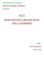 thuyet trinh PHƯƠNG PHÁP NUÔI CẤY ĐỈNH SINH TRƯỞNG GiỐNG LAN DENDROBIUM