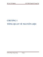 đồ án tốt nghiệp hoàn thiện quy trình sản xuất tương ớt