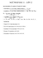 NGỮ PHÁP BÀI 11- LỚP 12