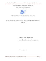 Tiểu luận môn phương pháp nghiên cứu khoa học NGHIÊN CỨU NHỮNG THÀNH CÔNG VÀ HƯỚNG PHÁT TRIỂN CỦAGOOGLE