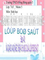 Bài 40: Đa dạng và đặc điểm chung của lớp bò sát