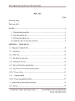 Đồ án nghiên cứu quy trình sản xuất mứt nha đam