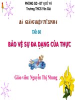 tiết 60 : Bảo vệ sự đa dạng của thực vật