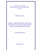 Nghiên cứu một số biện pháp kỹ thuật nhằm tăng năng xuất, chất lượng chuối tiêu hồng trồng tại vùng khoái châu, hưng yên