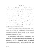 Xây dựng được tập hợp các anten chấn tử với độ dài có khả năng bức xạ tốt nhất sóng điện từ