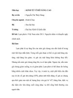 Tiểu luận Lạm phát ở Việt Nam năm 2011 Nguyên nhân và khuyến nghị chính sách