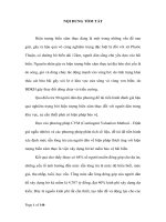 Tìm hiểu nguyên nhân, thực trạng và suy nghĩ của người dân về hiện tượng biển xâm thực tại Phước Thuận, Xuyên Mộc, Bà Rịa, Vũng Tàu