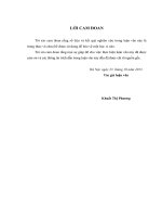 luận văn thạc sĩ Hoàn thiện hệ thống kênh phân phối thuốc tân dược tại công ty CP SX và TM Song Sơn