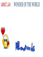 English 8 unit 14 read