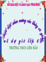 Cây tre Việt Nam t2