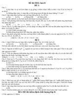 đề thi HSG sưu tầm