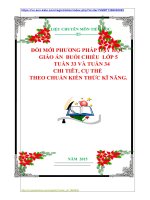 ĐỔI MỚI PHƯƠNG PHÁP DẠY HỌC GIÁO ÁN BUỔI CHIỀU LỚP 5 TUẦN 33 VÀ TUẦN 34 CHI TIÊT, CỤ THỂ THEO CHUẨN KIẾN THỨC KĨ NĂNG