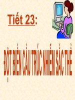 Tiet 23 Dot bien nhiem sac the