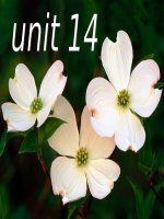 unit 14 lesson 5
