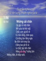 Tiet 19 Tu nhieu nghia