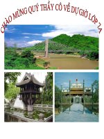 Chuyên đề Mĩ thuật lớp 7