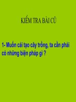 Giáo án sinh học lớp 6 bai 46