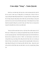 Cảm nhận '' Sóng'' của Xuân Quỳnh