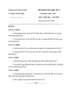 de  kiem tra hkI Sinh 11