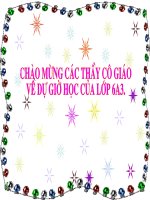 Tiet 73,74 Bai hoc duong doi dau tien