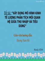Xây dựng mô hình kinh tế lượng phân tích mối quan hệ giữa thu nhập và tiêu dùng