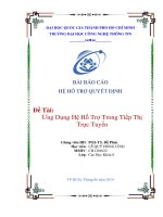 Tiểu luận môn hệ hỗ trợ quyết định Ứng Dụng Hệ Hỗ Trợ Trong Tiếp Thị Trực Tuyến