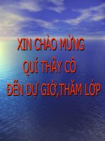 Xây dựng tình bạn...