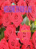 Unit 12 : A VACATION ABROAD