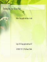 Bài thuyết trình môn công nghệ sinh học vi sinh cây trồng chuyển gen