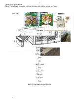chọn và thuyết minh công nghệ quy trình sản xuất bún