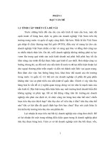 Hoàn thiện công tác kế toán hàng hoá và tiêu thụ hàng hoá tại Công ty Cổ phần Tạp phẩm và Bảo hộ lao động