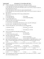 Chủ đề: Dao động cơ - dao động điều hòa (ôn thi TN)