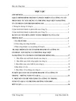 luận văn kinh tế đầu tư  Công ty cổ phần đầu tư xây dựng và thương mại việt nam,công ty cổ phần contrexim Hồng Hà