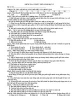 kiem tra sinh 12 so 4