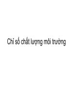 Chỉ số chất lượng môi trường