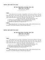 CHON HSG VAN 6 - TRUONG HO TUNG MAU