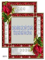 On tap ve dau cau va dau ...