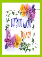 luyen tu va cau lop2