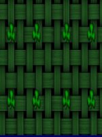 T26 Cay co ho hap khong