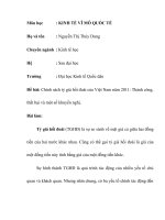 Tiểu luận Chính sách tỷ giá hối đoái của Việt Nam năm 2011 Thành công, thất bại và một số khuyến nghị