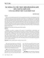 Tác động của việc thực hiện bình đẳng giới đến những biến đổi của gia đình Việt Nam hiện nay