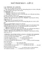 NGỮ PHÁP BÀI 9 - LỚP 12