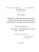luận án full nghiên cứu hình thái tổn thương và kết quả điều trị gãy kín mâm chày loại schatzker v và VI bằng kết xương nẹp vít