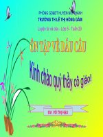 LTVC: ÔN TẬP VỀ DẤU CÂU-TUẦN 29