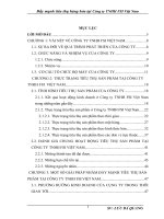 luận văn  kinh tế phát triển Đẩy mạnh tiêu thụ hàng hóa tại Công ty TNHH FSI Việt Nam