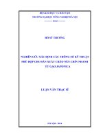 Nghiên cứu xác định các thông số kỹ thuật phù hợp cho sản xuất cháo nền chín nhanh từ gạo japonica
