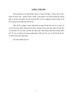 hoạch định chiến lược kinh doanh và phát triển công ty trà việt